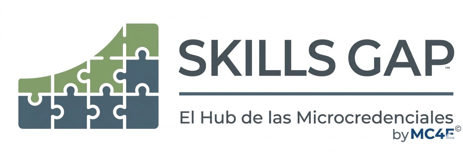 Skills Gap